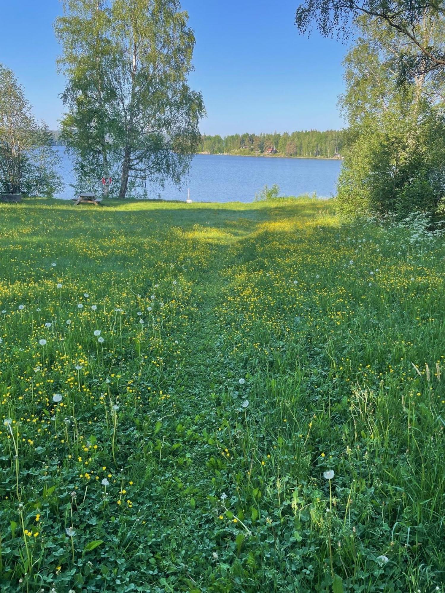 Brunnsvik Hotell & Konferens Лудвика Екстериор снимка